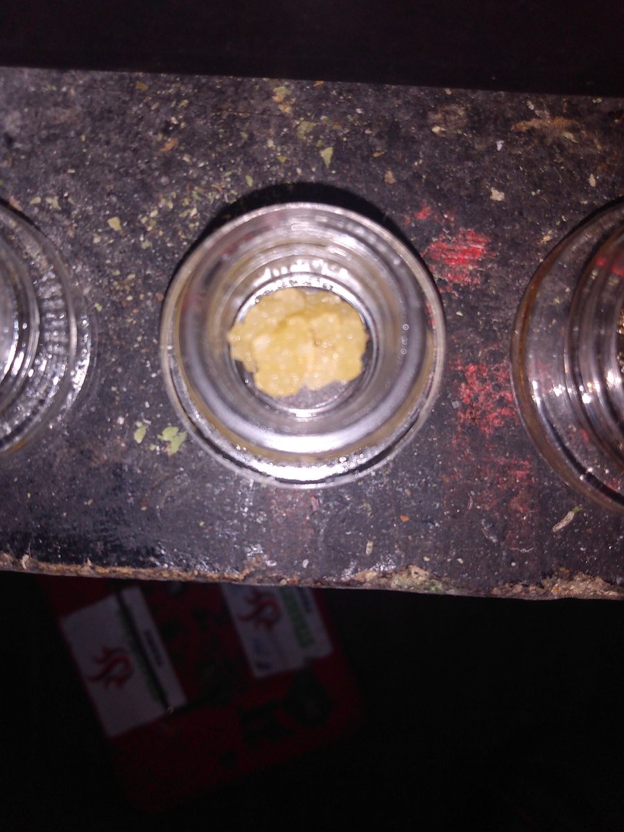 coopertroxx's tweet photo. #420710ryders #beastcoast strainof today is #wildjack and #concentrate is #Tropicanachem mmmm tasty and so dankkkkkkk........... https://t.co/NKl4Jpp5tX
