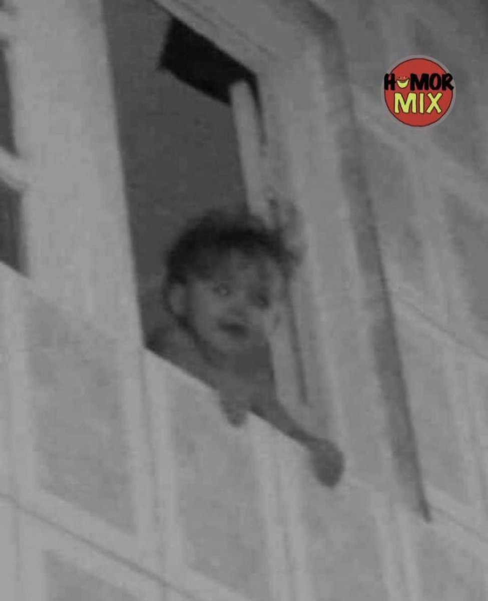 fulltartara's tweet photo. Díganme que uds también ven el bebé en la ventana🥺🥺🥺🥺 https://t.co/pFrEAZZa1q