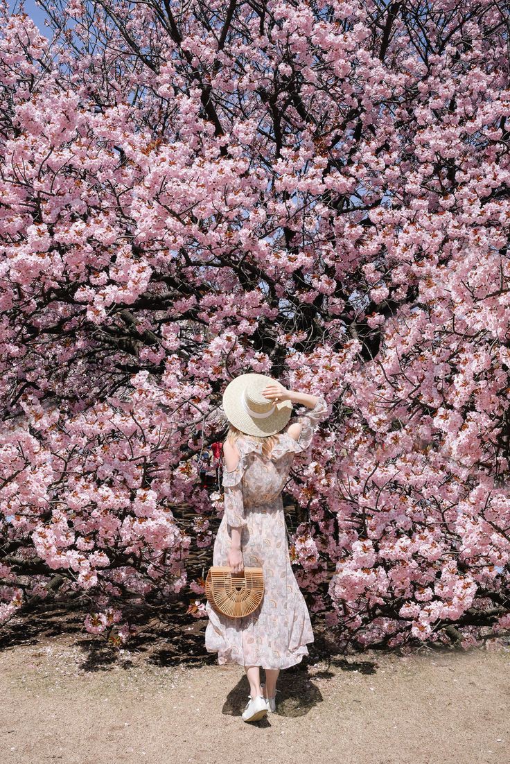 Angeliiiisa's tweet photo. 𝐶ℎ𝑒𝑟𝑟𝑦 𝑏𝑙𝑜𝑠𝑠𝑜𝑚𝑠😍🌸 https://t.co/y9AFJHosu0