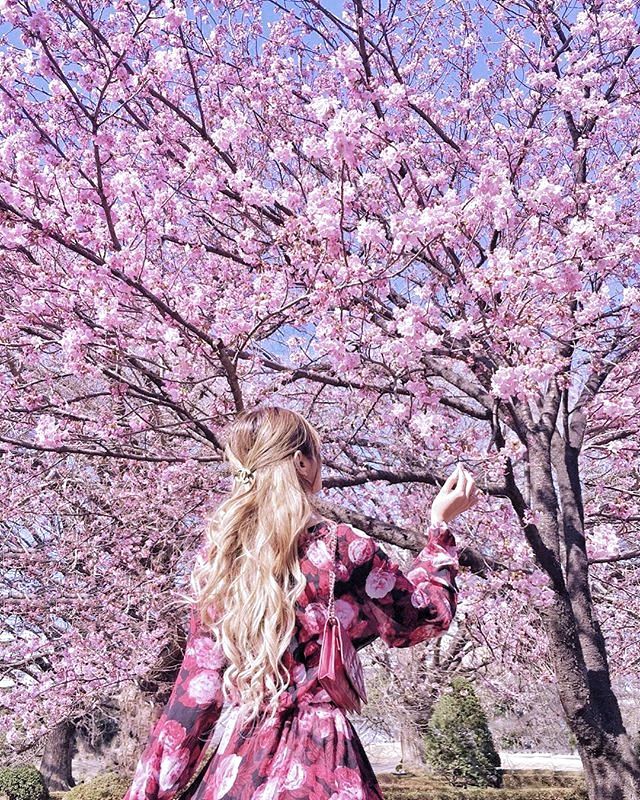 Angeliiiisa's tweet photo. 𝐶ℎ𝑒𝑟𝑟𝑦 𝑏𝑙𝑜𝑠𝑠𝑜𝑚𝑠😍🌸 https://t.co/y9AFJHosu0