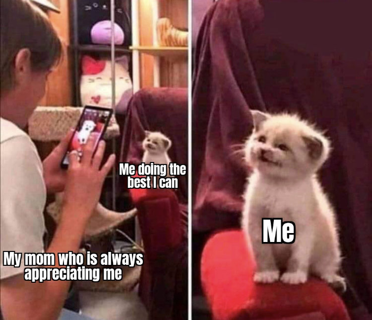 RespectfulMemes's tweet photo. https://t.co/pZLcWiCDkQ