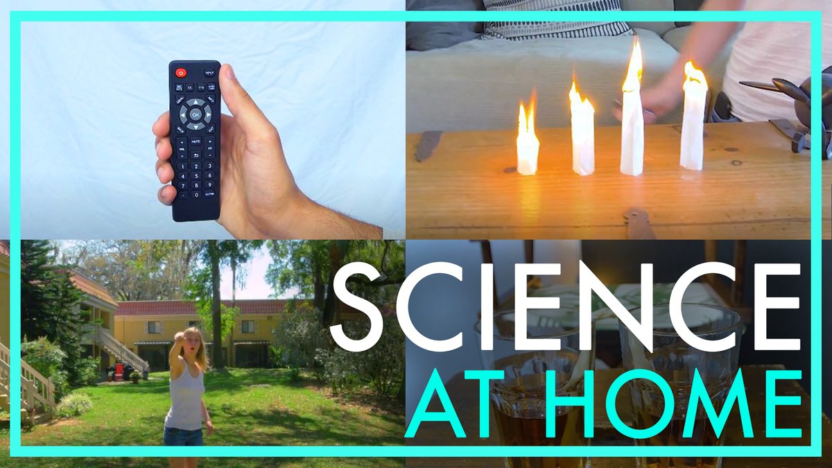 Flying Ostrich Media, Inc. tweet media