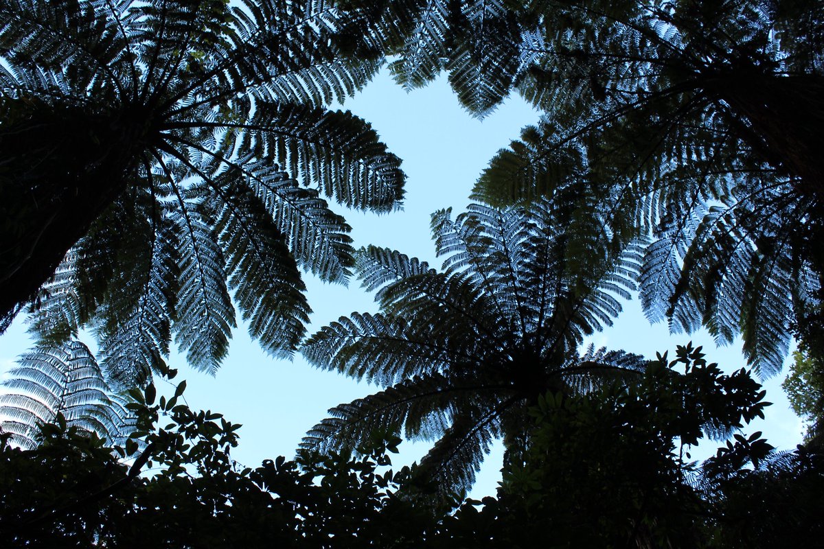 JP Associates tweet media