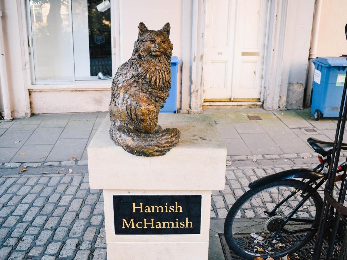 homocarto's tweet photo. the only statue in the uk that i respect is the statue of hamish mchamish the cat in st andrews https://t.co/1TcU2UAPoG