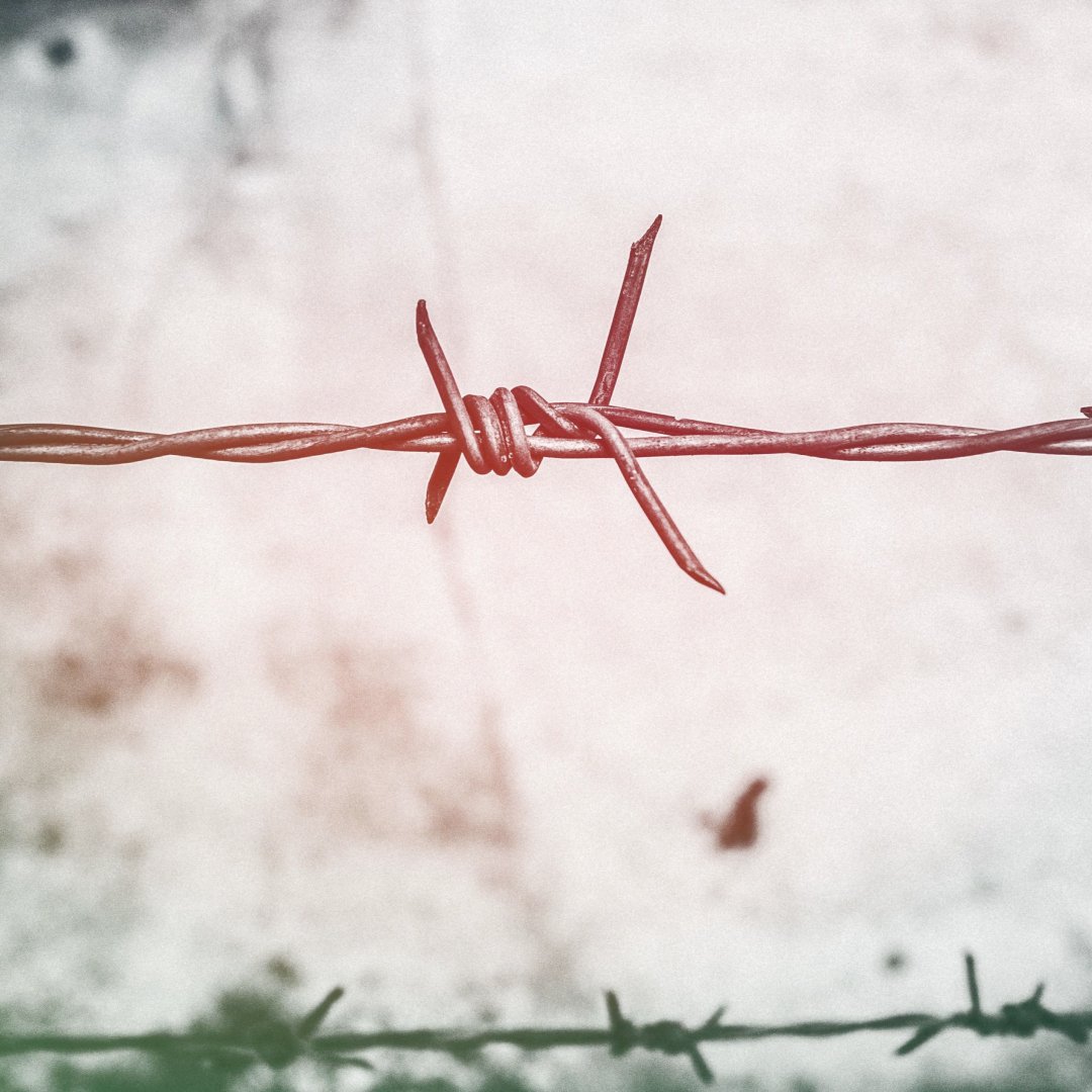 Read our new blog on the cross border minefields in relation to inheritance available at: iwcprobateservices.co.uk/blog/the-cross…