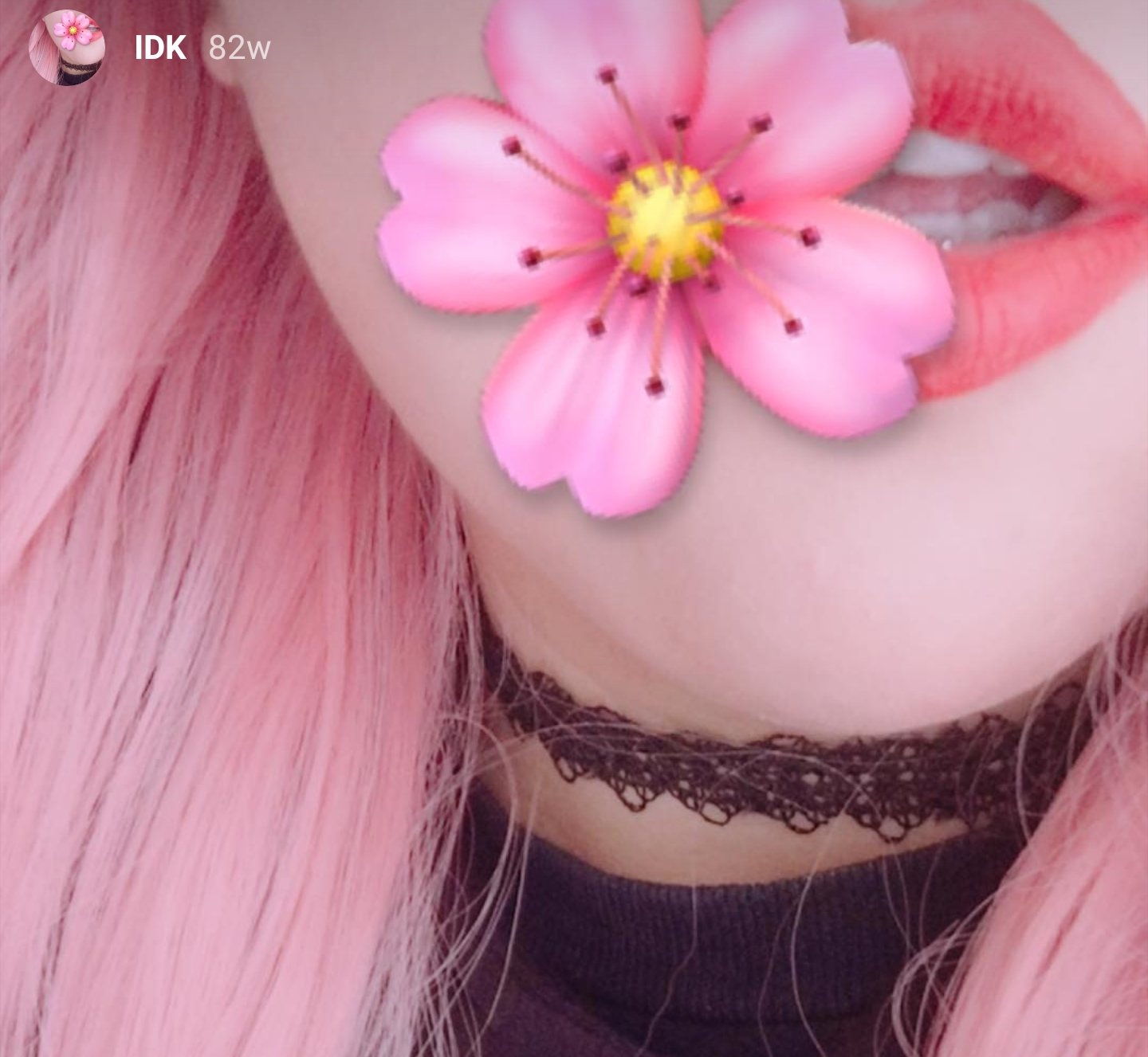 Featured image of post Anielica Cara Real