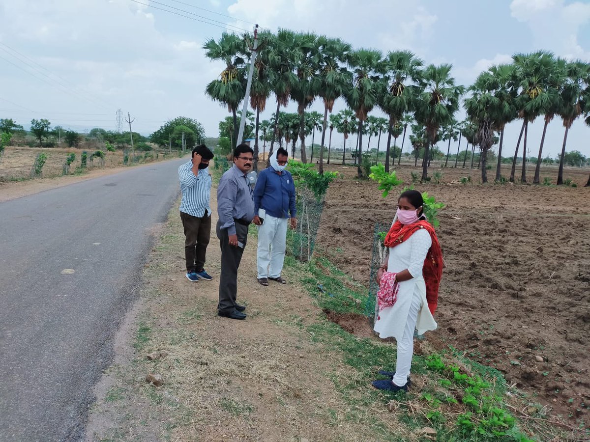 DPO_PDPL's tweet photo. Inspected and obseved Sanitation work &amp; Avenue plantation at GP Eklaspur &amp; Ankenapalli of Anthergoam Mandal @Collector_PDPL https://t.co/vIn0H2swq0
