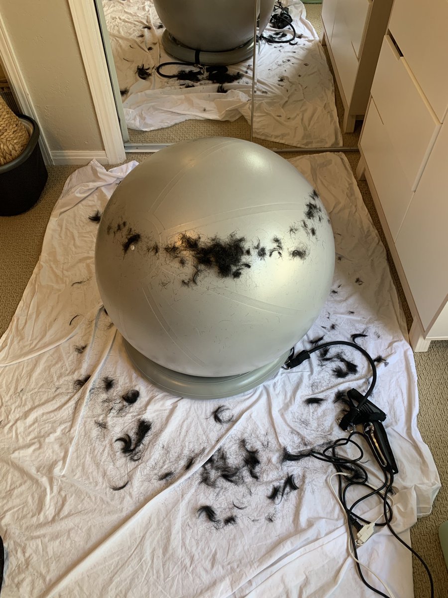 A crime against quarantine hair happened today...