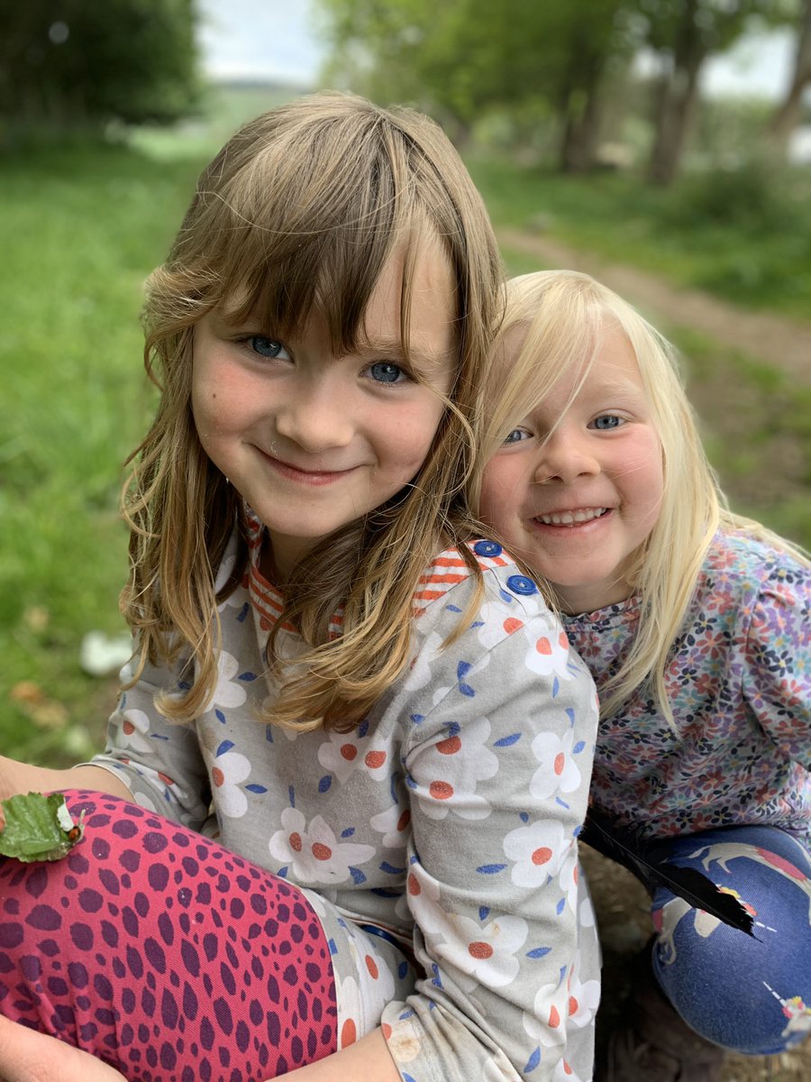 louise_urquhart's tweet image. We found 48 ladybirds on our exploration around the farm today including a baby one I don’t think I’ve ever seen a baby ladybird before! #mathslesson ✅ #homeschooling #lockdownlessons