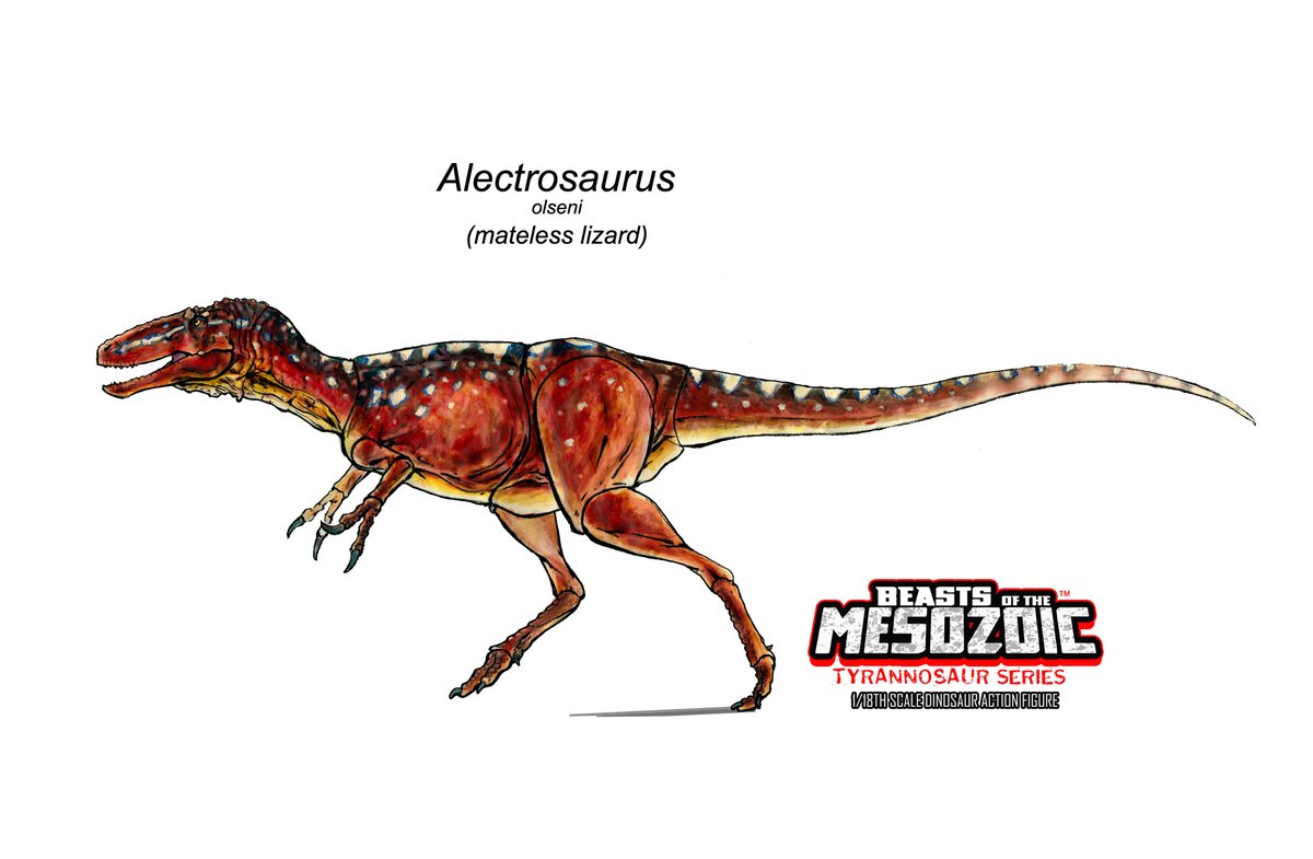 Beast_SculptKit's tweet photo. Here's the next color design reveal for the BotM: Tyrannosaur Series- Alectrosaurus olseni! Colors were inspired by the Juvenile Green Tree Python.      #beastsofthemesozoic #dinosaur #tyrannosaurs #toydesign #Alectrosaurus #actionfigures #toys #paleontology  #kickstarter https://t.co/XTArCGXFFA