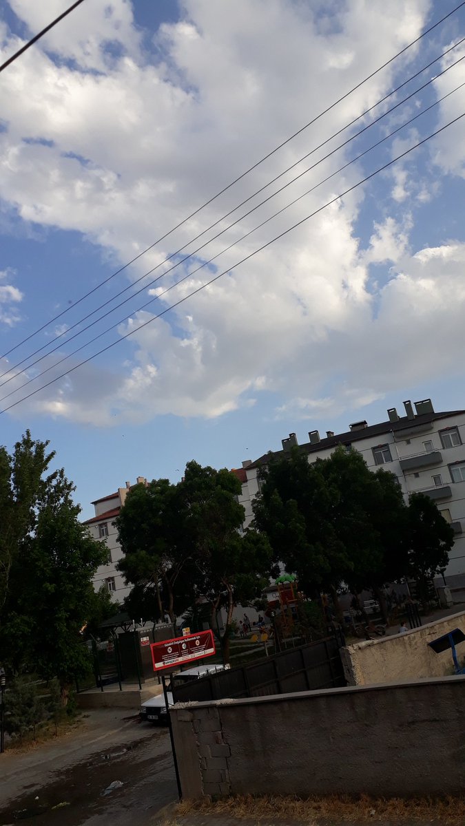 Belki üstümüzden bir kuş geçer 🕊