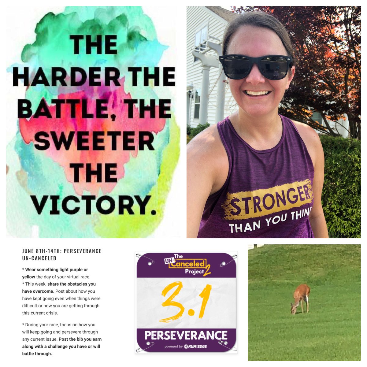 MsVMarketing's tweet photo. Week 5: PERSEVERANCE 3.1

“When the world says, ‘Give up’, Hope whispers, ‘Try it one more time’!”

Got out before it got too hot today &amp; enjoyed all the friendly folks out on the trails ... including this deer &amp; the baby foxes we passed!

#uncanceledproject #runtheedge https://t.co/9R5tYtdj67