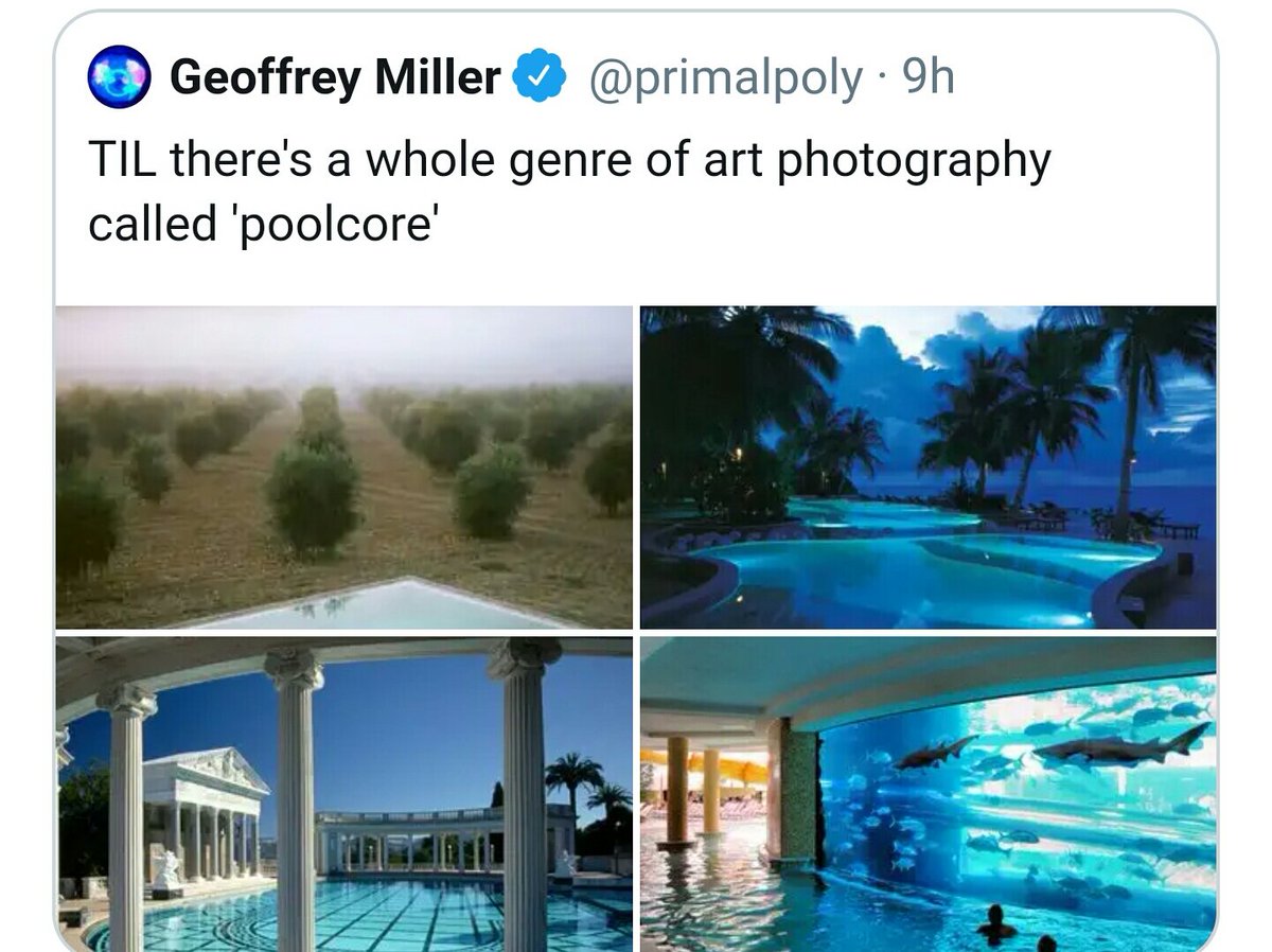 CernovichE's tweet photo. Top right for me https://t.co/NDSuwXbbHo