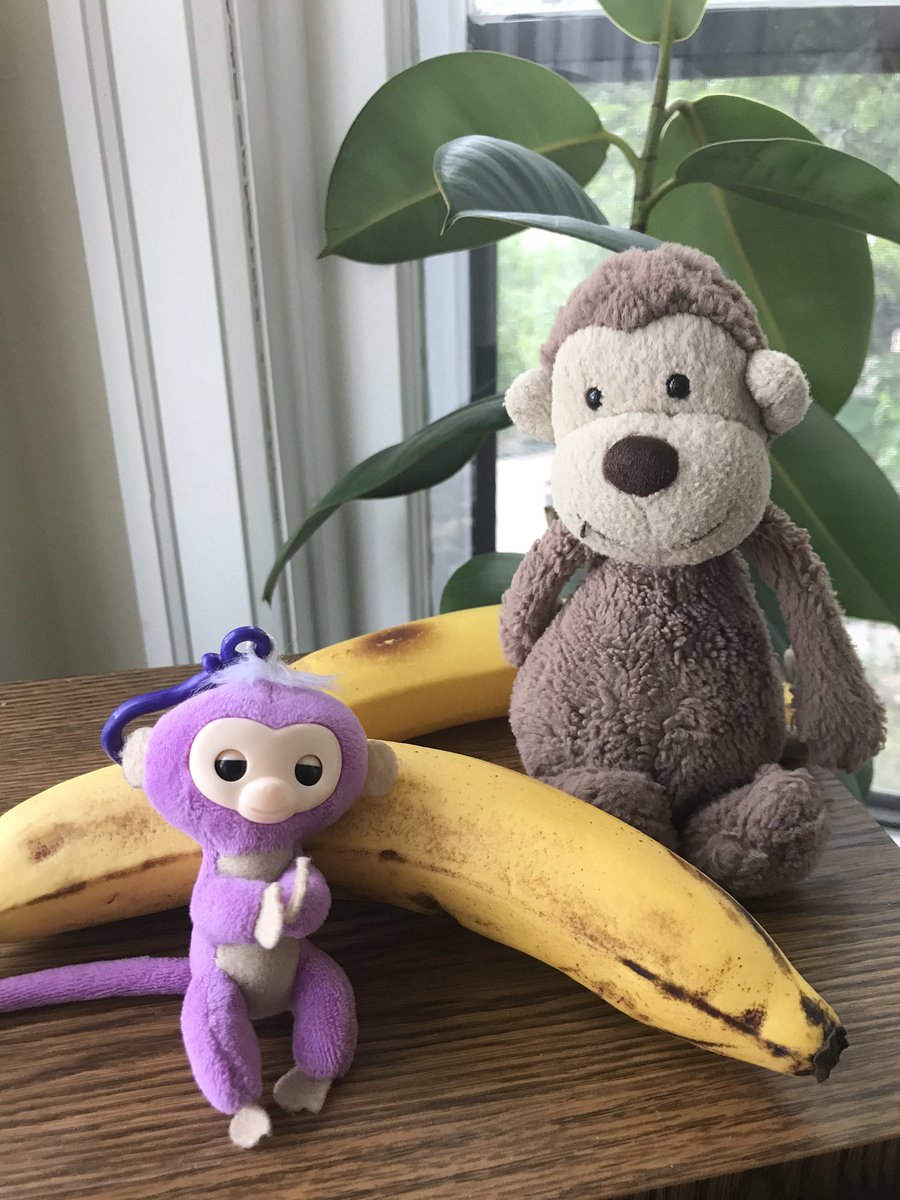tahnisc's tweet photo. There’s been lots of monkey business at our house this week! Jumping on the bed, swinging from the monkey bars, and eating all the bananas! Monkey around with us on Imagine This Music. Tuesday, June 9 at 11:00 on 91.3 FM CJTR. #YQR #yqrkids #cjtr #imaginethismusic https://t.co/o8MDC0L4Oz
