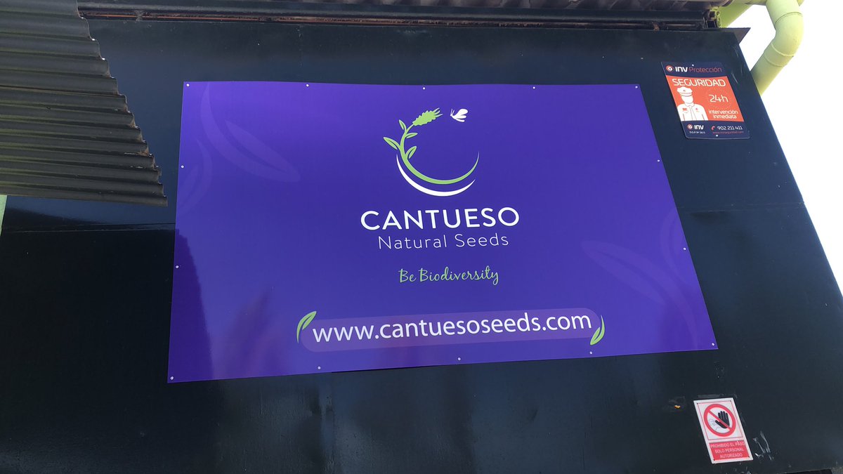 Cantuesoseeds's tweet photo. Nuevos tiempos y nueva imagen en las instalaciones de CANTUESO. Natural seeds. #PremiosEBAE2019
#cantuesoseeds
#SemillasCantueso
#EUGreenBiz
@SemillasCantueso
@SCantueso
@Cantueso
#sostenibilidad
#biodiversity
#nativeseeds
#agriculturasostenible
#agroecologia
@ENSPA
#ENSPA https://t.co/r8jgSeZ2a5