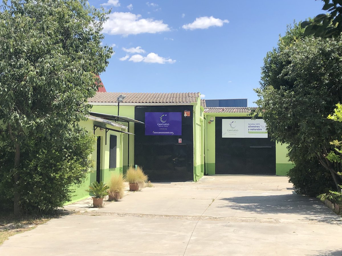 Cantuesoseeds's tweet photo. Nuevos tiempos y nueva imagen en las instalaciones de CANTUESO. Natural seeds. #PremiosEBAE2019
#cantuesoseeds
#SemillasCantueso
#EUGreenBiz
@SemillasCantueso
@SCantueso
@Cantueso
#sostenibilidad
#biodiversity
#nativeseeds
#agriculturasostenible
#agroecologia
@ENSPA
#ENSPA https://t.co/r8jgSeZ2a5