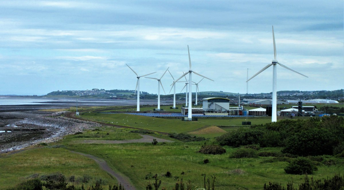 StanLeigh18's tweet photo. North from #Workington Walk - another good walk of nearly 7 miles by @viviennecrow2 
- View of #Maryport &amp; #SolwayFirth from #Workington
#SiddickPond with Criffel beyond
#Heron keeping an eye on a #Swan 
- A bevy of #Swans in #RiverDerwent - #NavviesBridge beyond
@Workytown https://t.co/o15bVDCpT7