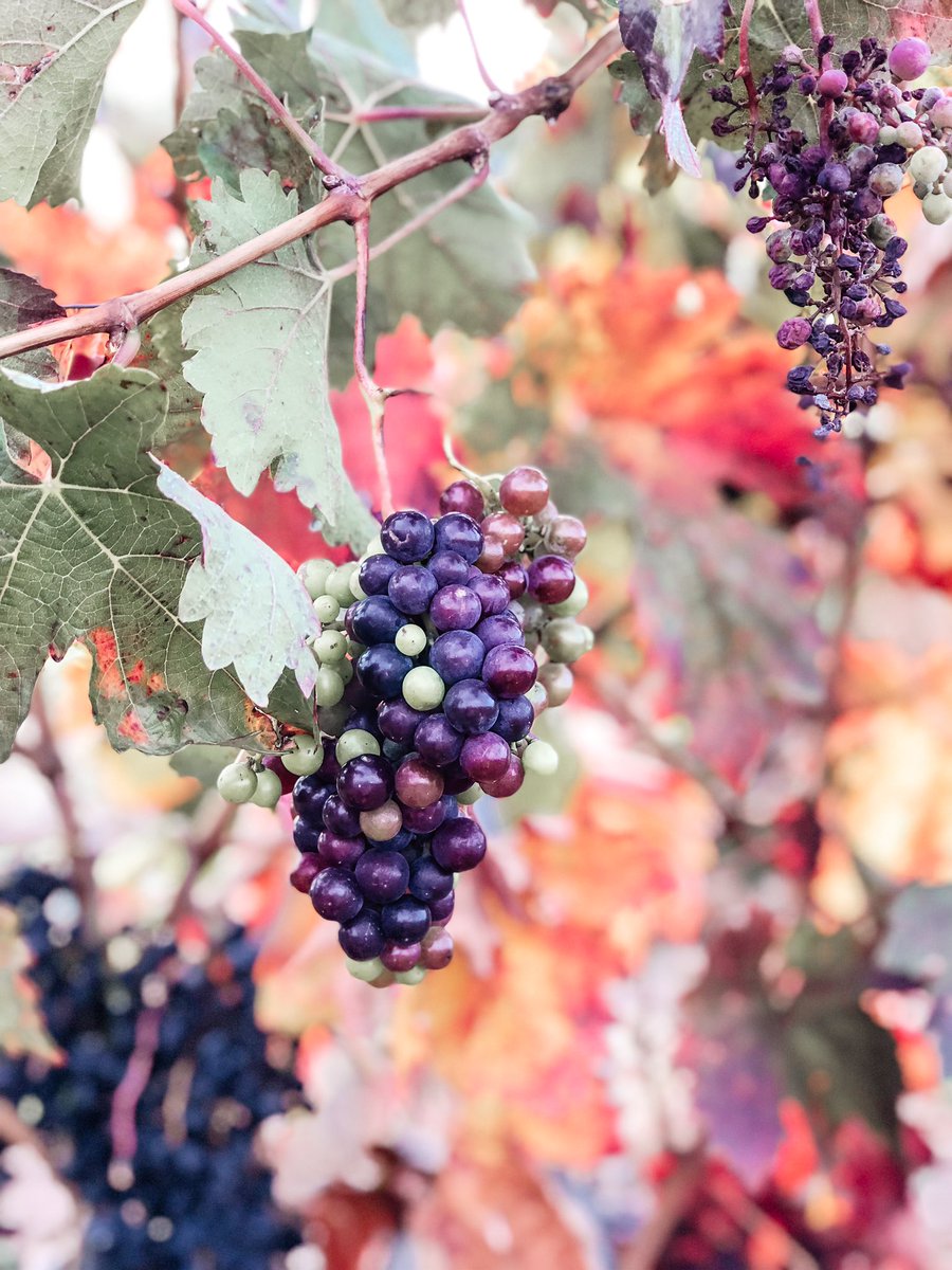 ¡¡Feliz día de La Rioja!!