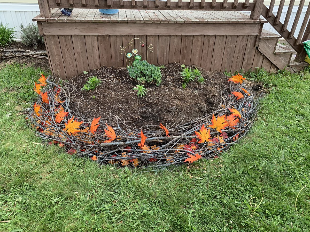 DSimms72's tweet photo. I hope that this bird nest flower bed border will look amazing when everything blooms! #flowerbeds #frontyardlandscaping #monctonnb #birdsnest #repurposedwood https://t.co/KxrJDwzZZ6
