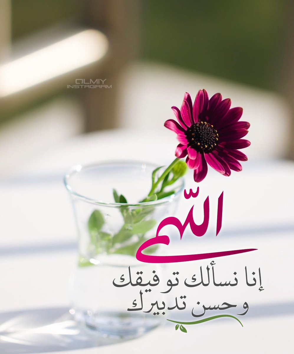 قلمي لخدمة ديني 🌸~ tweet media