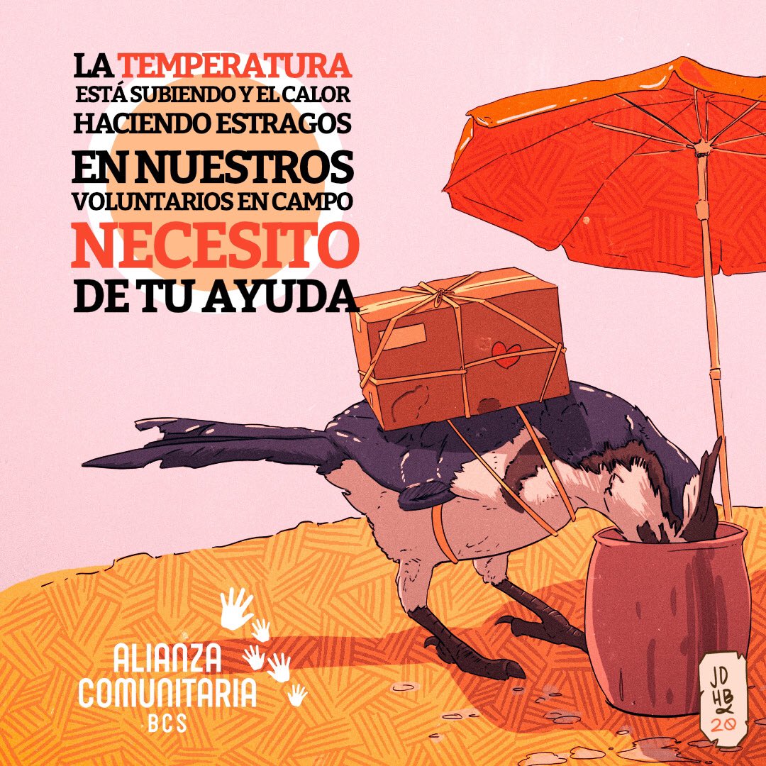 Pedimos de tu ayuda para donar suero con electrolitos, la temperatura está subiendo y el calor haciendo estragos en nuestros voluntarios en campo, la necesidad alimentaria de muchas famlias aún continúa, harás la diferencia con tu donativo. ¡Gracias por ser parte de esta Alianza!