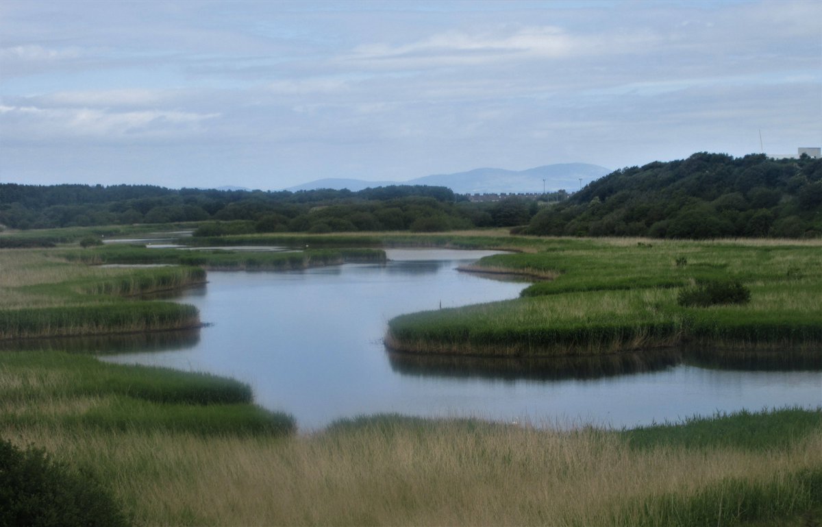 StanLeigh18's tweet photo. North from #Workington Walk - another good walk of nearly 7 miles by @viviennecrow2 
- View of #Maryport &amp; #SolwayFirth from #Workington
#SiddickPond with Criffel beyond
#Heron keeping an eye on a #Swan 
- A bevy of #Swans in #RiverDerwent - #NavviesBridge beyond
@Workytown https://t.co/o15bVDCpT7