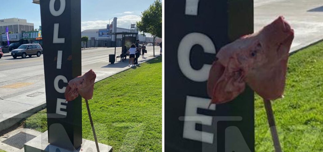 EaFTLSXUwAEo2uj?format=jpg&name=medium