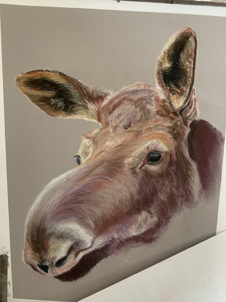 leonamartin2's tweet photo. Good day painting a Moose in soft pastels https://t.co/rMjyM3CT37