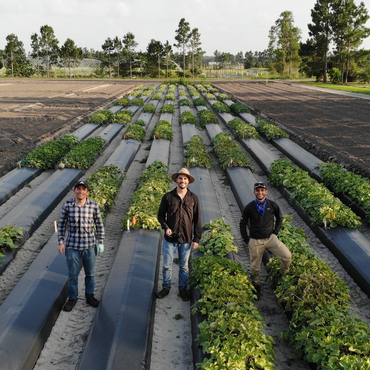 Galvin Alonzo Ortiz tweet media