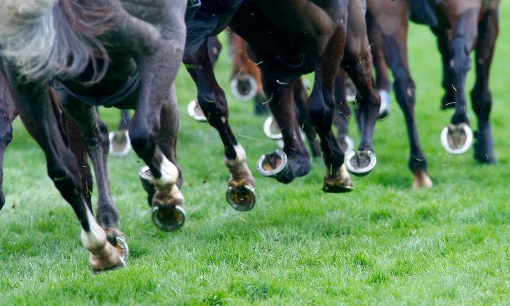 BHAHorseracing's tweet photo. Latest Resumption of Racing update:

➡️https://t.co/wVReA7rscf

Includes:

🔹July race programme
🔹Updates to guidance
🔹Stalls tests
🔹Changes to current jockey restrictions
🔹Safety factors and field limits
🔹Nursery programme https://t.co/1X7xOfBeVj