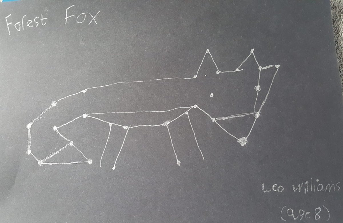 AndyW175's tweet photo. #ForestFixChallenge Creature constellation by Leo Williams aged 8 @ForestryEngland https://t.co/FBns7Fmgyv