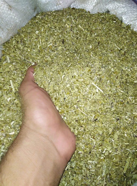 MIC_PY's tweet image. 📌Mipyme ganadora como Mejor Microempresa a nivel Nacional en el concurso #PCM2019 convocado por el MIC exporta🙌🇵🇾

👉La Asociación Agroecológica Oñoirú de Itapúa, exportará a los 🇺🇸 24.000 kilogramos de yerba mate con certificación orgánica📄✅

➕ℹ️▶️mic.gov.py/mic/w/contenid…