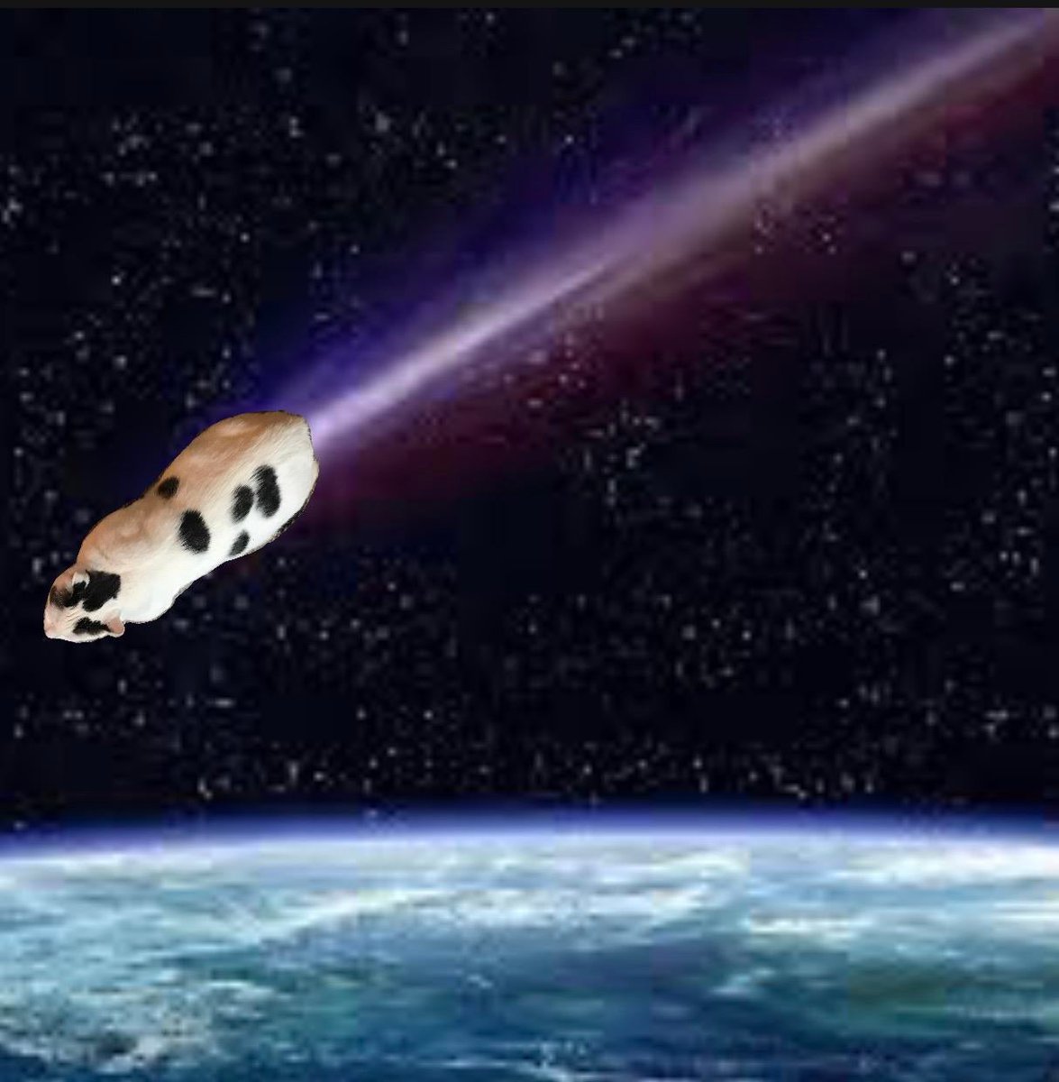 MeowMoeDotCom's tweet photo. #Photoshopped my #Cat “#Yamming” into a #Comet.
 
#Cats #Cat #Kittens #Kitten #Kitty #Pets #Pet #Meow #Moe #CuteCats #CuteCat #CuteKittens #CuteKitten #MeowMoe 
 
https://t.co/OhLqCEeXcQ https://t.co/uza37ucEyi