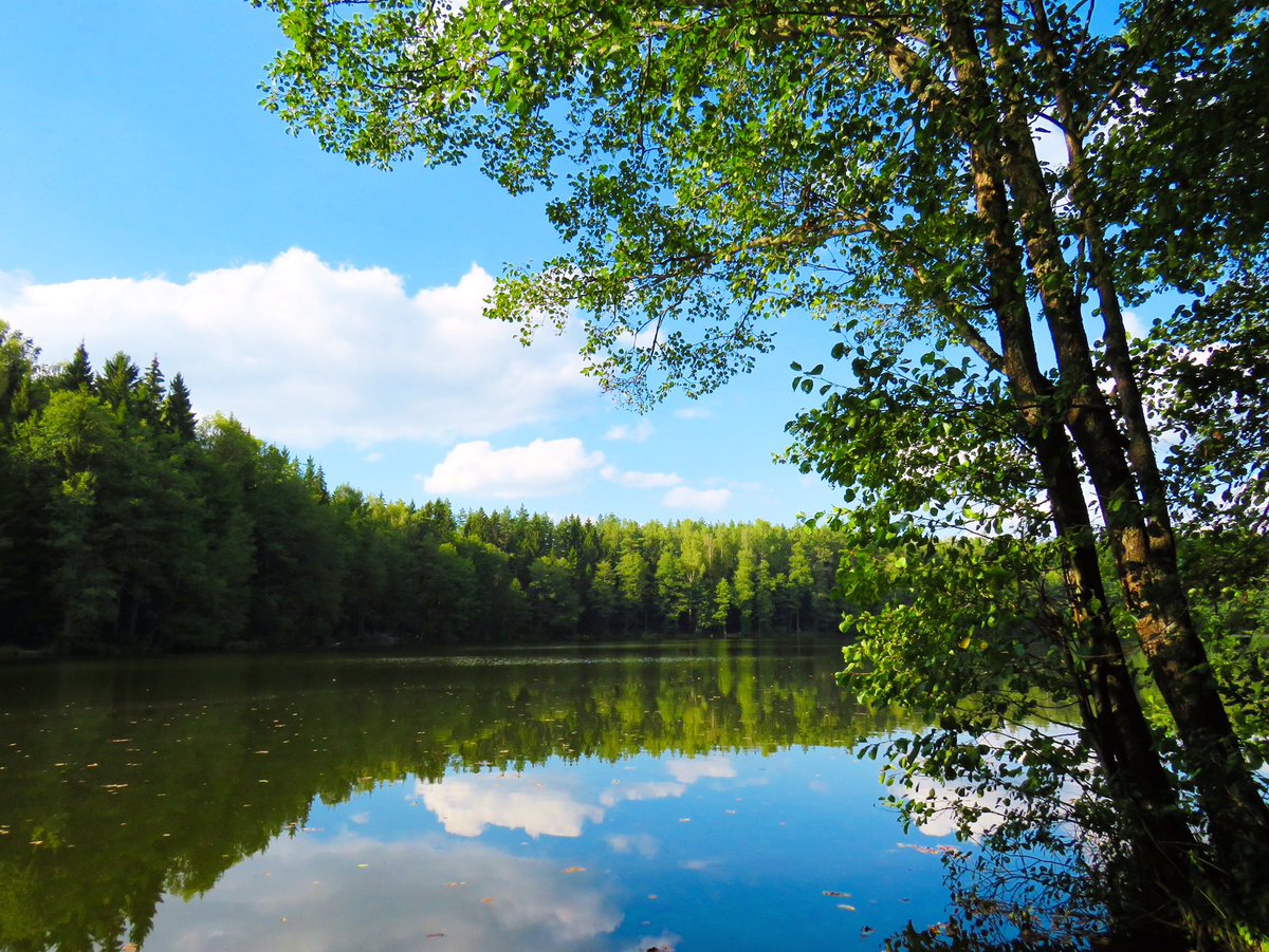 Bubbly_Tree's tweet photo. Get lost in nature and you will find yourself 🙌

#bubblytree #breathe #meditate #trees #calmingtrees #rechauffementclimatique #globalwarming #cambioclimatico #respirez #respirar #meditacion #selfdevelopment https://t.co/MO2rjx6ba9