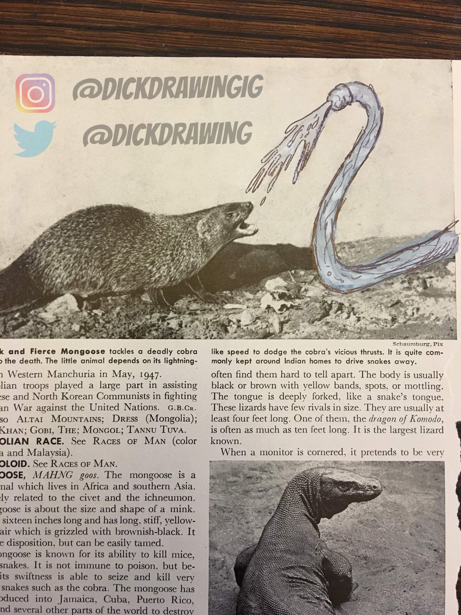 dickdrawing's tweet photo. The deadly cock cobra keeps its one eye on its nemesis, Rikki Tikki Tavi.

#rikkitikkitavi #oneeyedsnake #dickdrawing #drawingdicks #cocksmith #penisart #pen15club #penisportrait #newspaperdicks #newspaperdick #dicksoutforharambe #NSFW #NSFWArt https://t.co/Gx5NcNa6hN