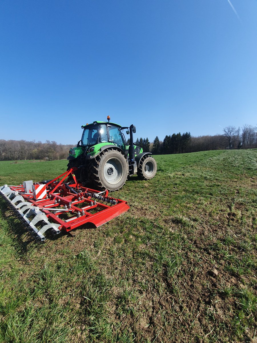 springinsfeld maxime tweet media