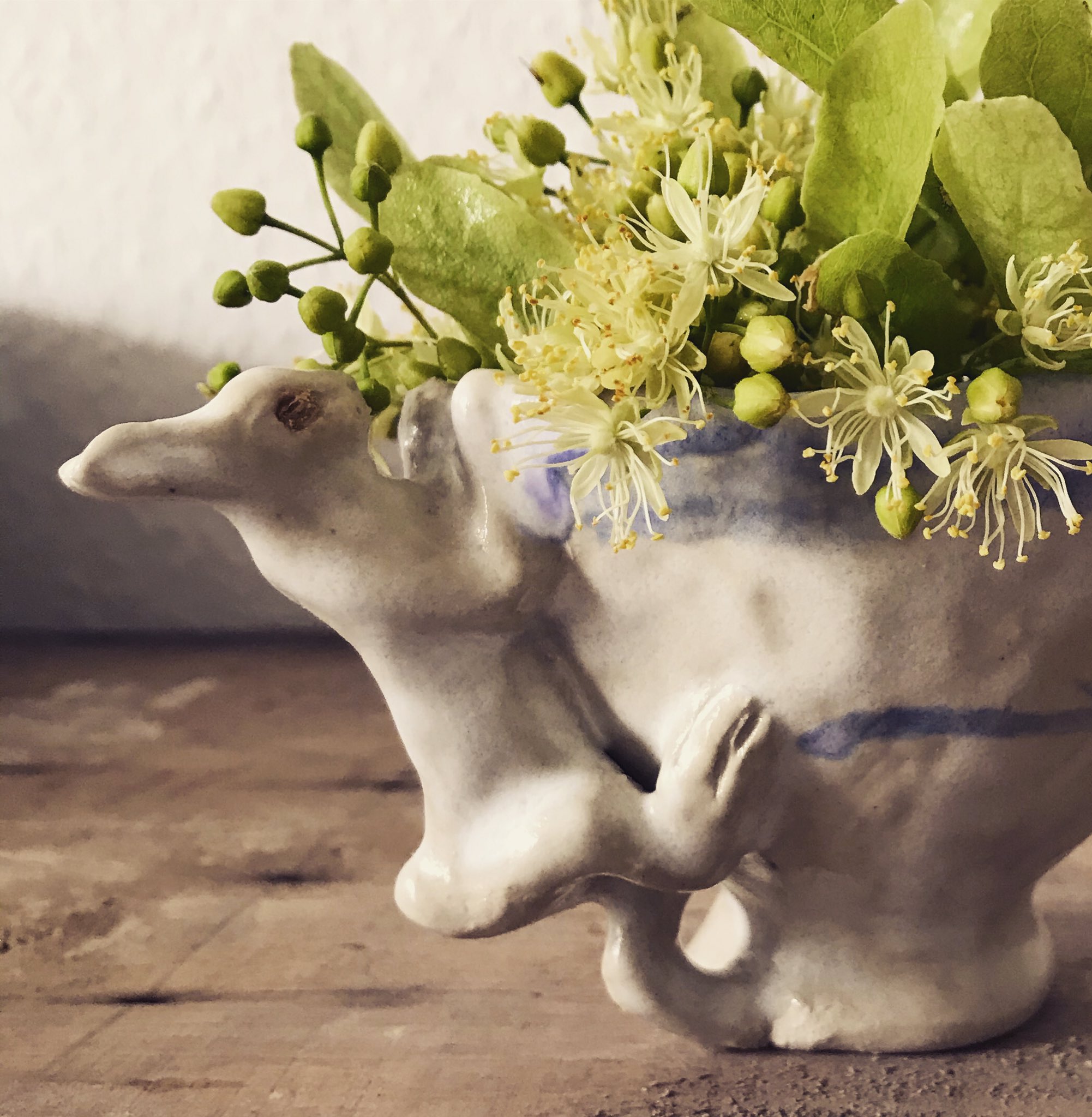 Michiyo Yamashita Linden Bunny Ceramics 菩提樹 の 花 と 葉 うさぎ 陶器 これで ハーブティー を作ります