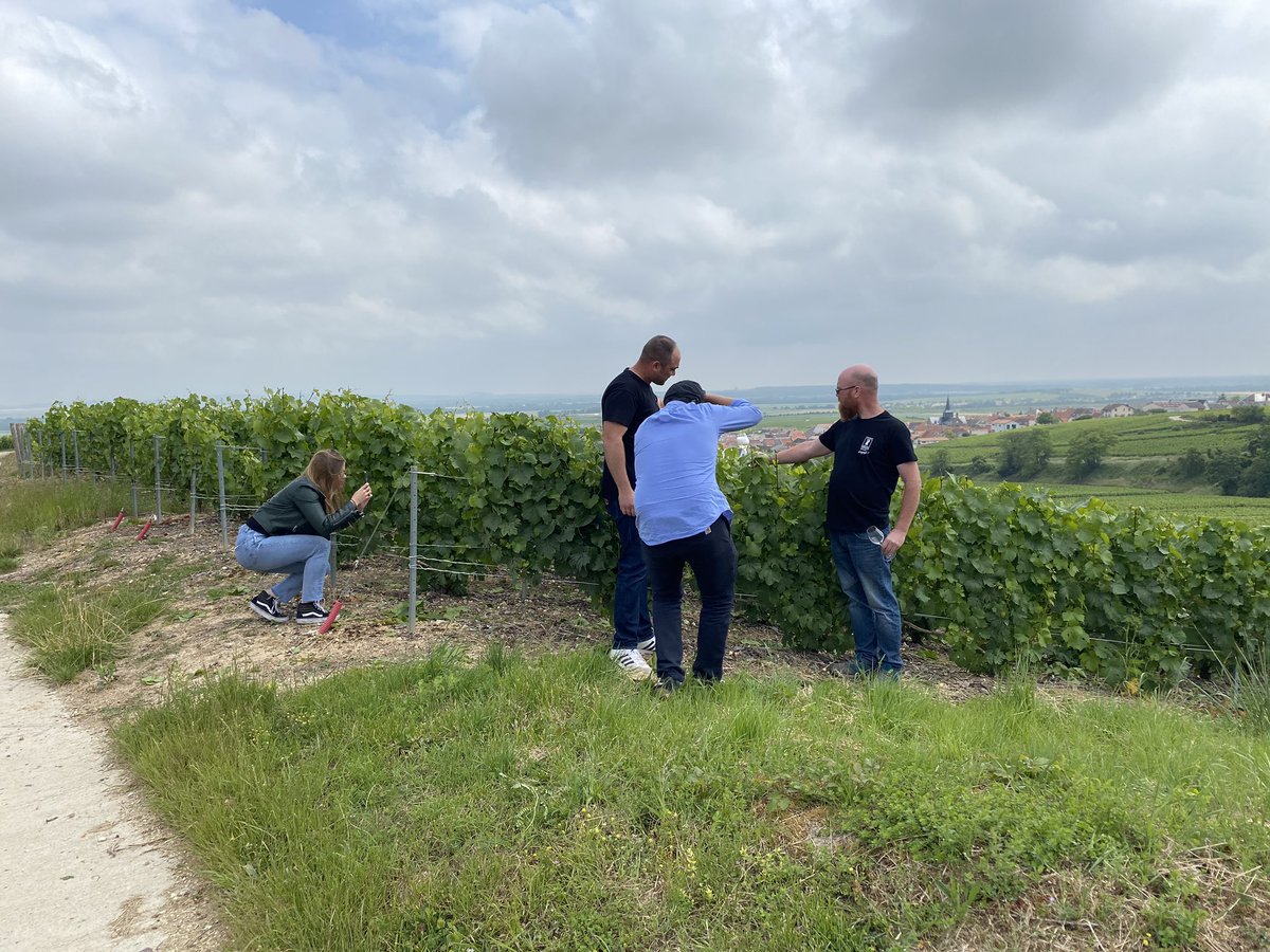 champagneindep's tweet photo. À la rencontre de quelques uns de nos #vigneronsindependants toute la journée de la #montagnedereims à la #cotedesblancs dans le cadre de notre campagne digitale avec @bicyclettedepaul et @julienlasota merci pour leur temps ! A découvrir bientôt😉🥂❤️🌸#champagne #growerchampagne https://t.co/lPqO2fc99R
