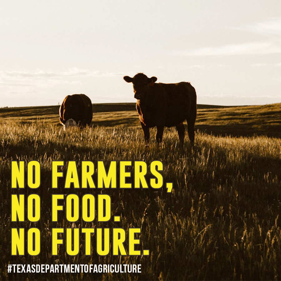TexasDeptofAg's tweet photo. #TexasAgricultureMatters https://t.co/EtFtqWbpkH