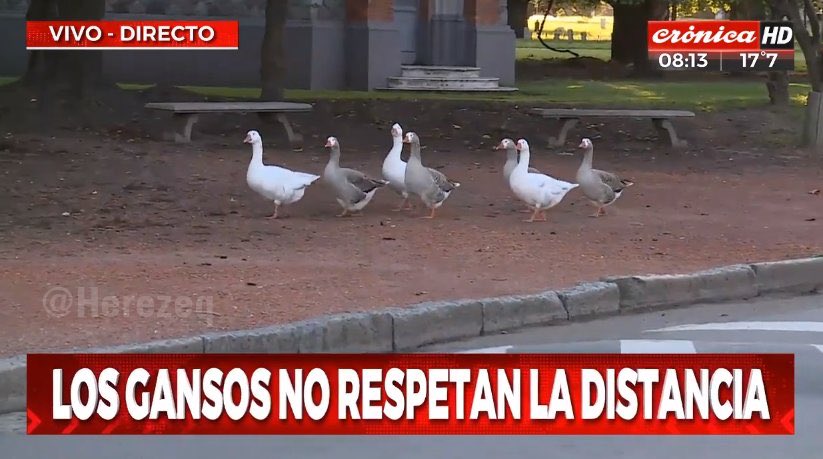 fedkuri's tweet photo. Los que salieron a correr en buenos aires https://t.co/ukgRgLe35E