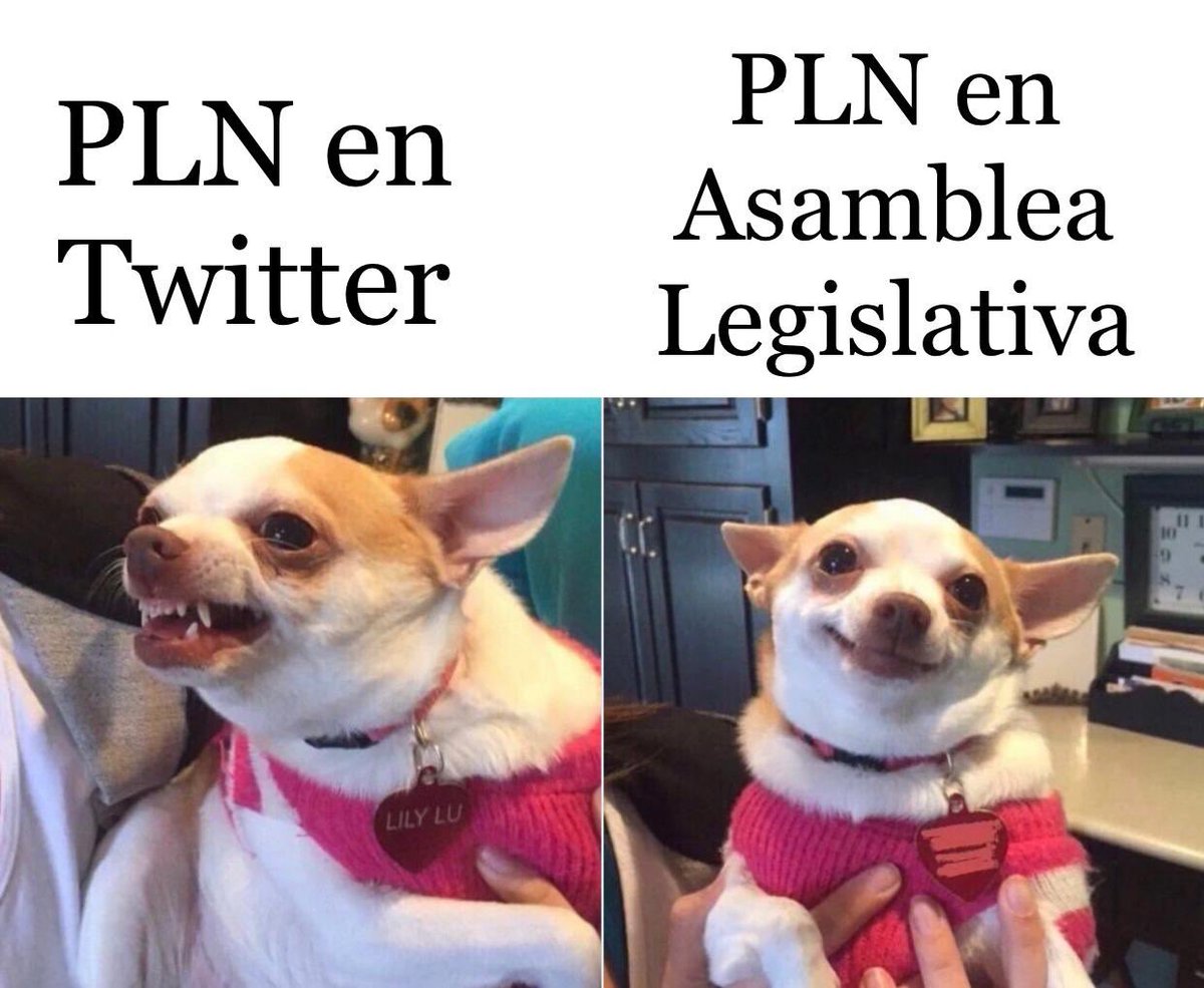 MeliAO71's tweet photo. @Akamo21 @Justthetrue13 @CRBenavidesJ @asambleacr @CarlosAlvQ @DiputadosPLN @ClaudiaDobles https://t.co/F2X0JRHvBE