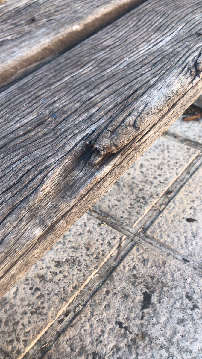 D_g_arce's tweet photo. Hola @AytoMostoles  para cuando la limpieza y mantenimiento de parques y jardines? Tres años de la primera vez que puse queja en la app linea verde y seguimos igual. Bancos rotos con riesgo de que los mas pequeños se lesionen. Muchas gracias. https://t.co/k2S1K3UBbY