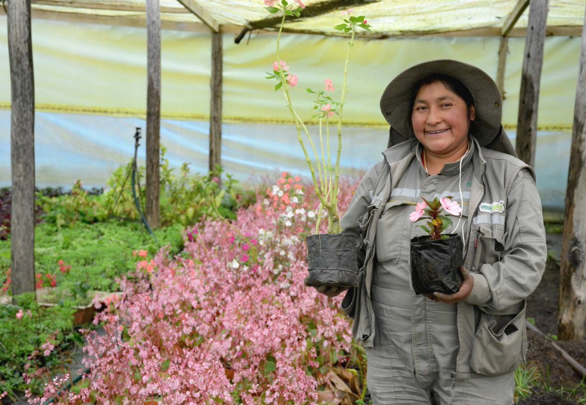 LaRazon_Bolivia's tweet photo. #LaPaz
La concejala Kathia Salazar convoca a la ciudadanía a comprar a través de la modalidad 'delivery', diferentes especies de plantas que son ofertadas por la Empresa Municipal de Áreas Verdes, Parques y Forestación, EMAVERDE, y cuya entrega es a domicilio. Vía Prensa Concejo https://t.co/hiDK1MaFcx