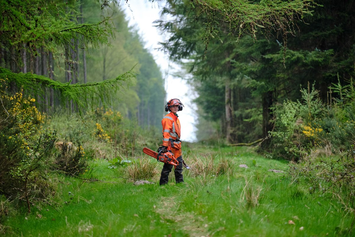 “My aim was to record for one year the flora and fauna of the forests, the people who worked and played in them, and the people who shaped their past and now protect their future.” - Tony Bartholomew 📷: <a href="/bartpics/">Tony Bartholomew</a>

👉🏼 forestryeng.land/year-in-the-li…