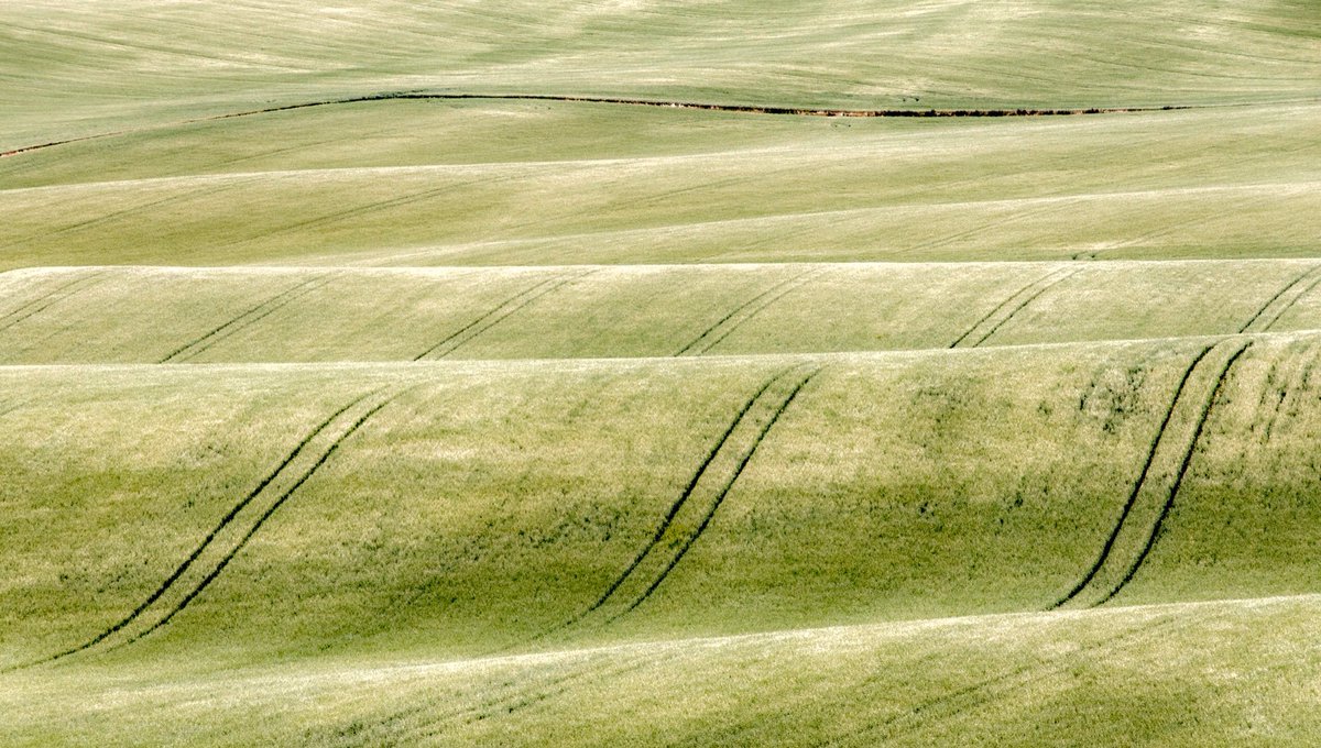 jwmcdowall's tweet photo. The rolling fields of North Hertfordshire #ThePhotoHour #hertfordshire #rollingfields #countryside #sonyphotography #LandscapePhotography https://t.co/I7bWG4HXSx