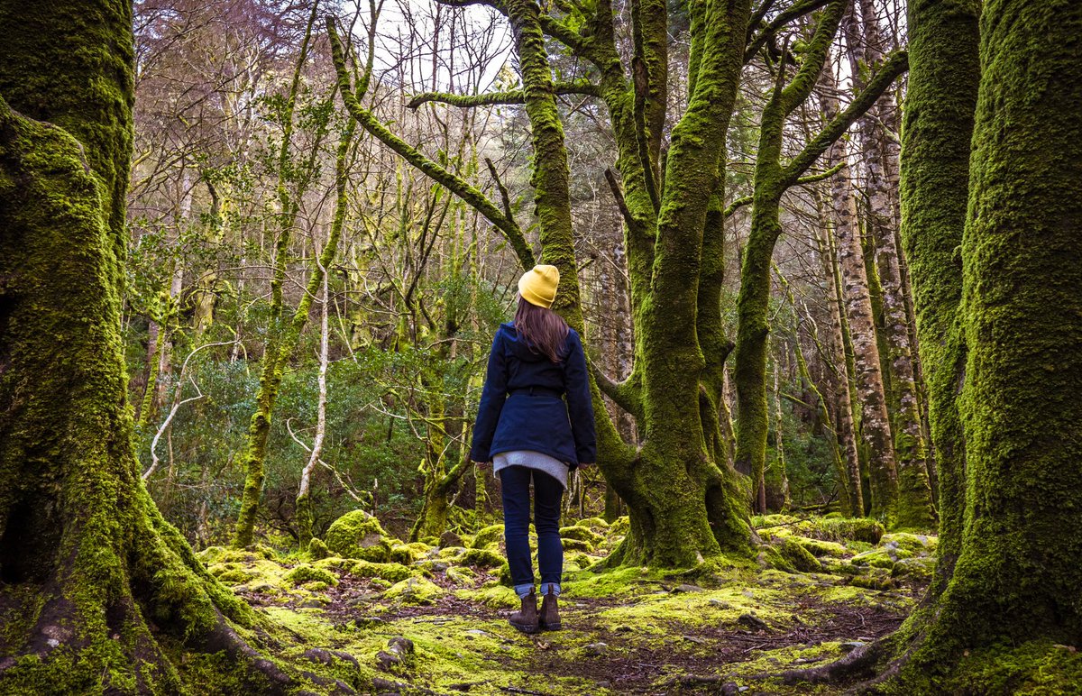 Vacation_Couple's tweet photo. After last nights chat with @GoToIrelandCA &amp; @tommystatus about #WhereToIDoInIreland we’ve been reminiscing about the beauty of Ireland 💚 

Catch a glimpse of it for yourself on tonight’s episode at 9pm ET on @CTVLife #LoveIreland https://t.co/bKWcF7MYZ0