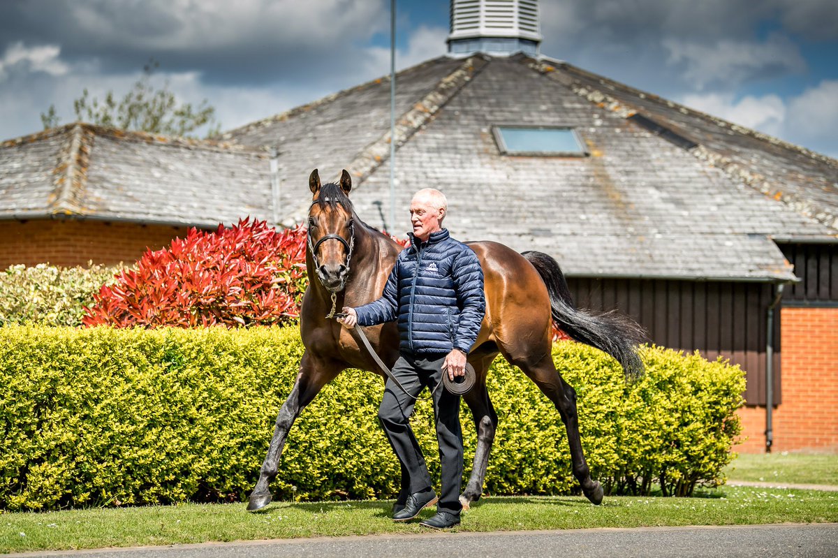 Shadwell_EU's tweet photo. Quickfire double for #MUHAARAR ๐ฅ
The @rhannonracing two-year-old CONCESSIONS looks to have a big future after a smooth success @ChelmsfordCRC, as does the @RalphBeckett filly ALBAFLORA, who struck on her debut @haydockraces #AtTheDouble https://t.co/putthOy7Yz
