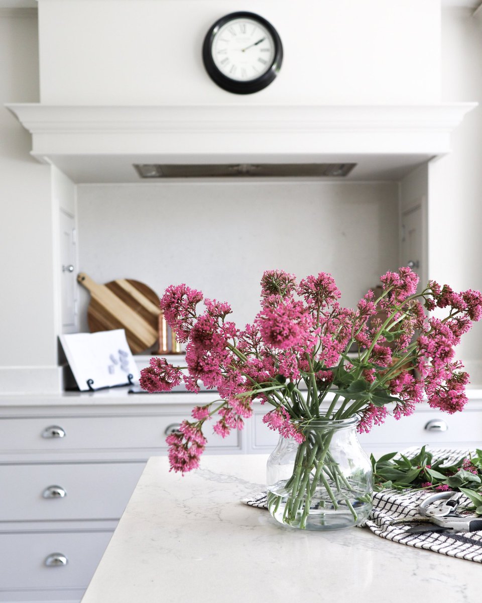 LydiaEmillen's tweet image. Someone once laughed at me for picking the beautiful pink flowers from our garden wall because they are “weeds”. Imagine not being able to see the beauty in absolutely everything