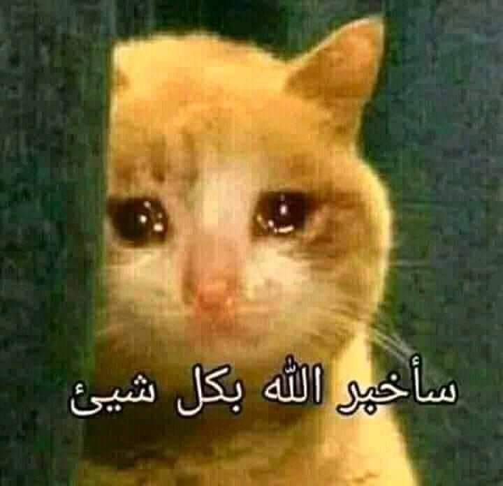 MarwaZedan26's tweet photo. #اطباء_التكليف_يناشدون_السيسي
#هالة_تتعنت_وتماطل
 #نيابة_مش_زمالة https://t.co/HyR85dtDw1