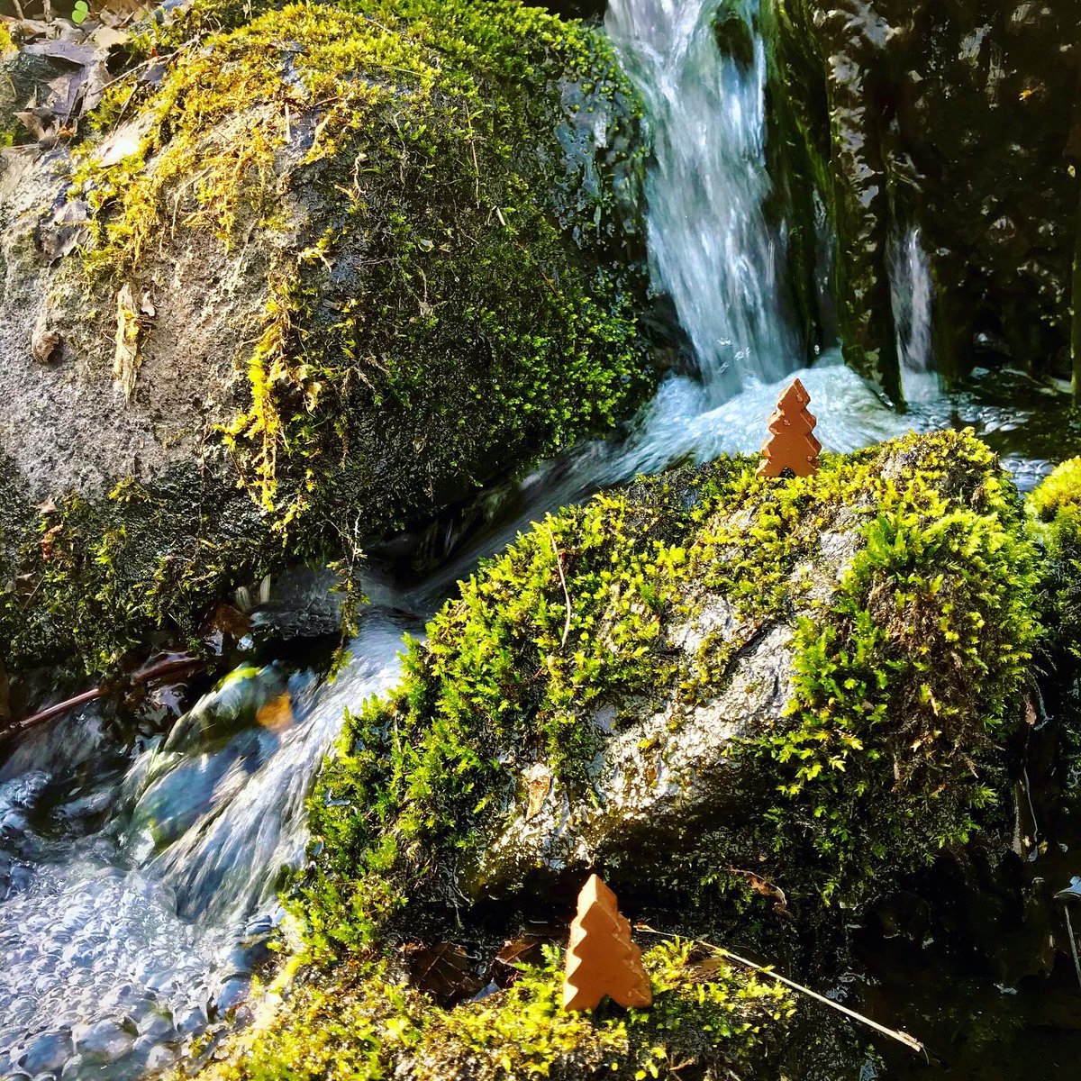 TabletopNate's tweet photo. #Treants are intimidating encounters but if tamed can be a great advantage. As they stay in the trees, these forest ancients find much defense among their less sentient brothers.
#Landstormgame
Third pic is photobashed placeholder art for #playtesting.
#Landstorm #boardgamedesign https://t.co/HXHeMHFLNi